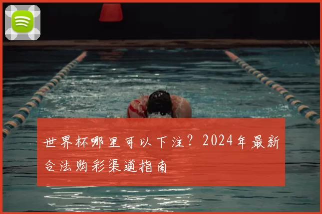 世界杯哪里可以下注？2024年最新合法购彩渠道指南
