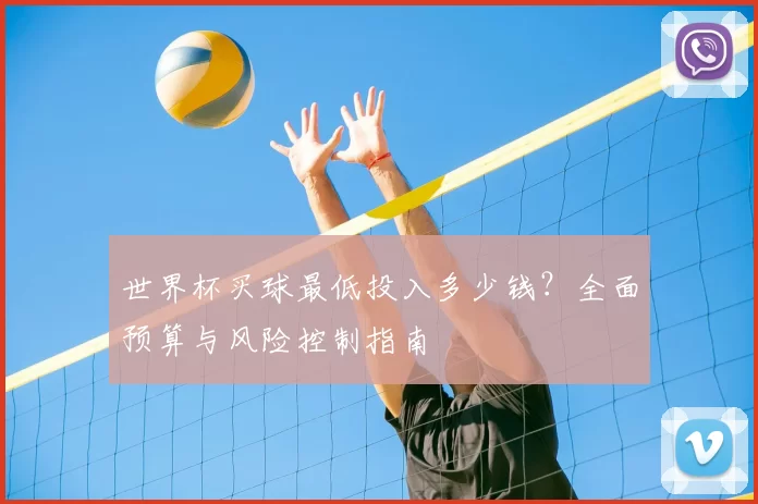 世界杯买球最低投入多少钱?全面预算与风险控制指南