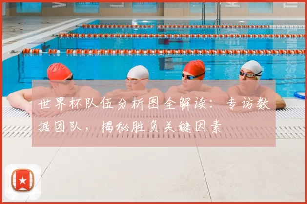世界杯队伍分析图全解读：专访数据团队，揭秘胜负关键因素