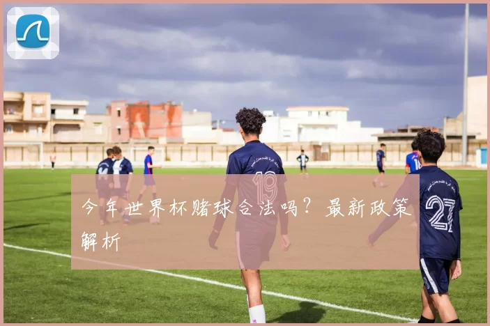 今年世界杯赌球合法吗?最新政策解析