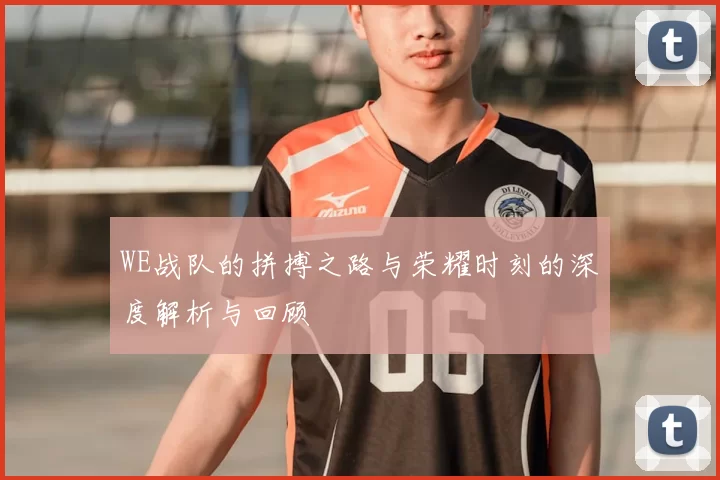 WE战队的拼搏之路与荣耀时刻的深度解析与回顾