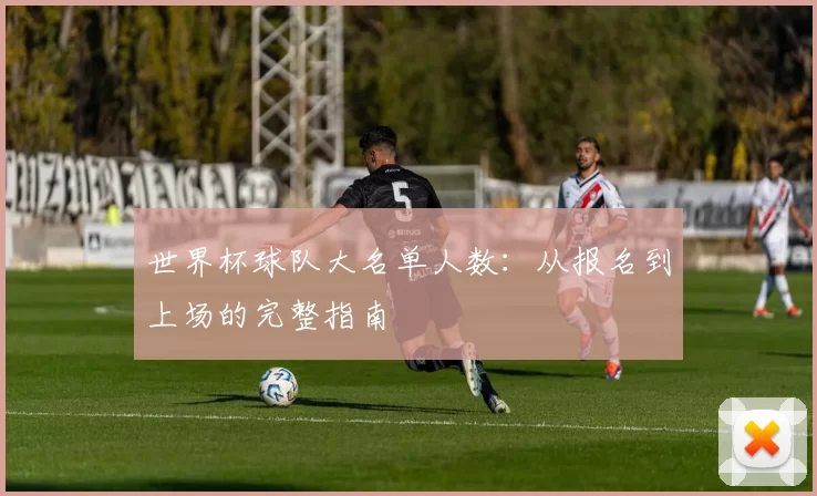 世界杯球队大名单人数:从报名到上场的完整指南