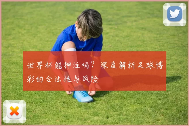 世界杯能押注吗？深度解析足球博彩的合法性与风险