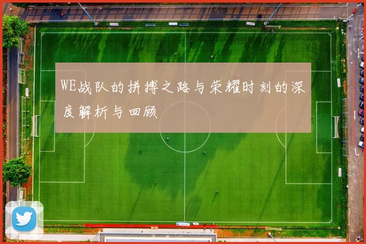 WE战队的拼搏之路与荣耀时刻的深度解析与回顾