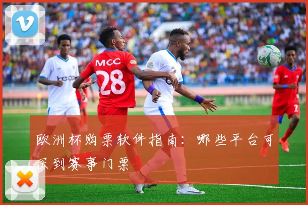 欧洲杯购票软件指南：哪些平台可买到赛事门票