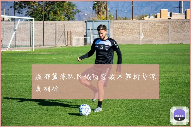 成都篮球队区域防守战术解析与深度剖析