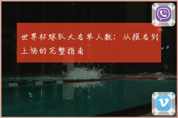 世界杯球队大名单人数:从报名到上场的完整指南
