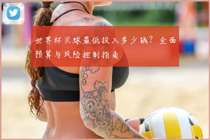 世界杯买球最低投入多少钱?全面预算与风险控制指南