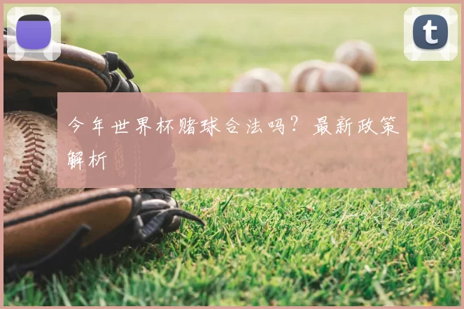 今年世界杯赌球合法吗?最新政策解析