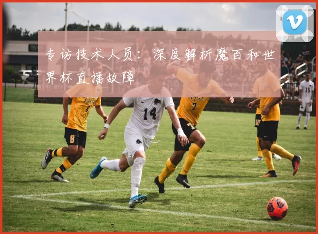 专访技术人员：深度解析魔百和世界杯直播故障