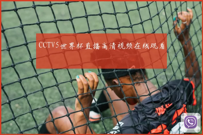 CCTV5世界杯直播高清视频在线观看