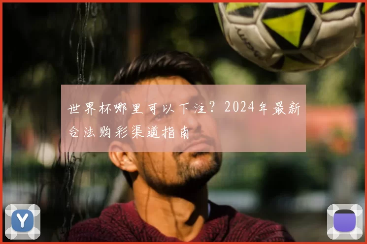世界杯哪里可以下注？2024年最新合法购彩渠道指南
