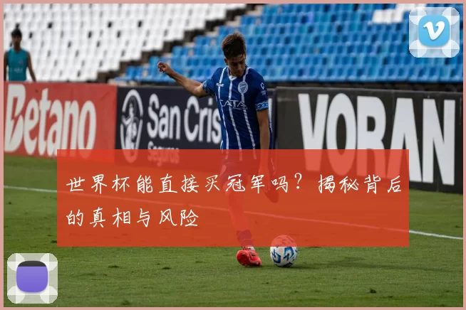 世界杯能直接买冠军吗？揭秘背后的真相与风险