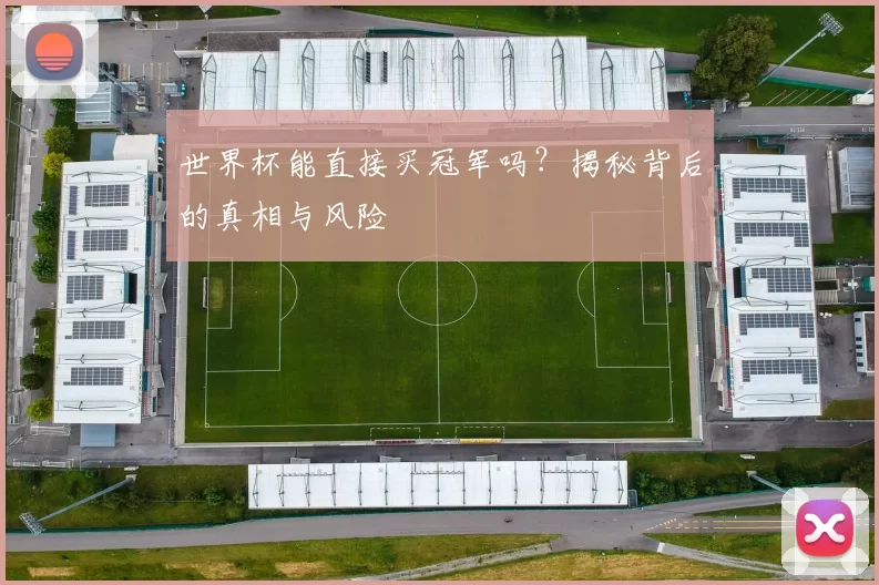 世界杯能直接买冠军吗？揭秘背后的真相与风险