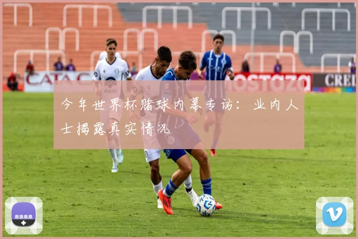 今年世界杯赌球内幕专访:业内人士揭露真实情况