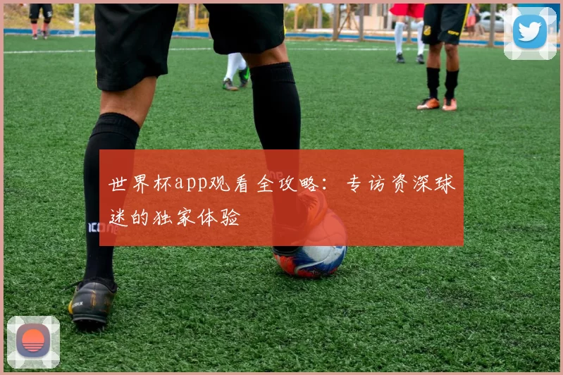 世界杯app观看全攻略：专访资深球迷的独家体验